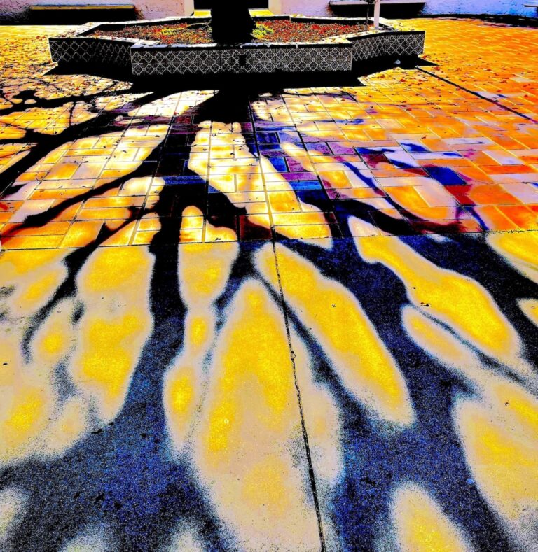 Artwork by artist Karen Safer, exhibited at Domio Gallery.