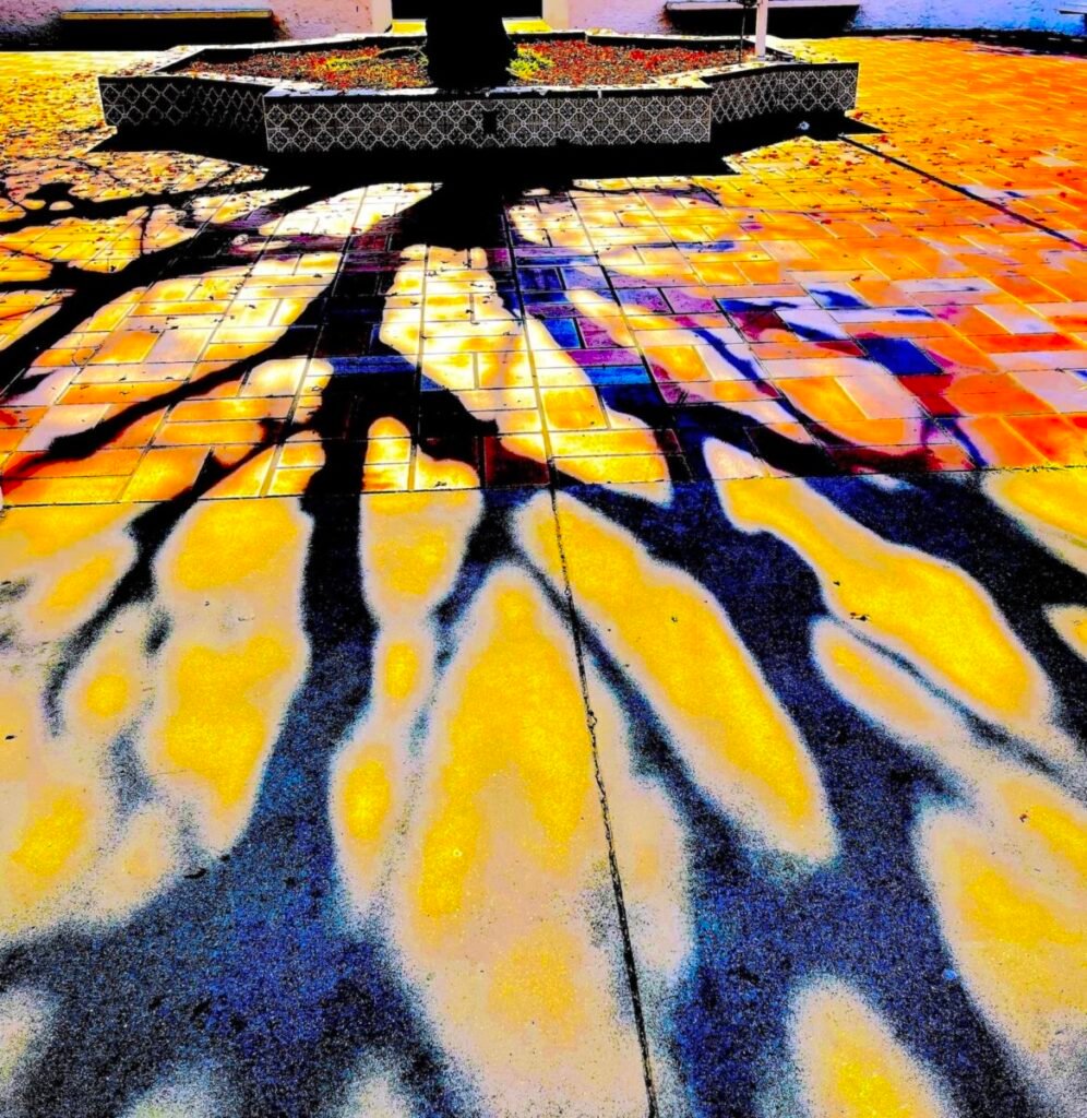 Artwork by artist Karen Safer, exhibited at Domio Gallery.