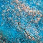 Artwork by artist Oleksandr Shapovalov, exhibited at Domio Gallery.