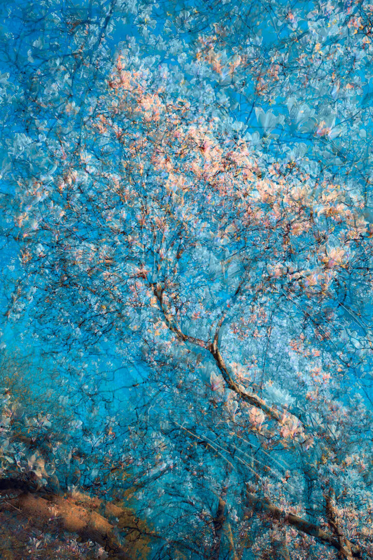 Artwork by artist Oleksandr Shapovalov, exhibited at Domio Gallery.