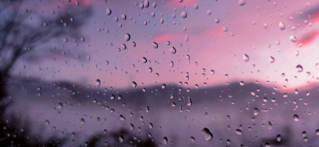 after rain, 2025. by Karl Pont, exhibited at Domio Gallery.