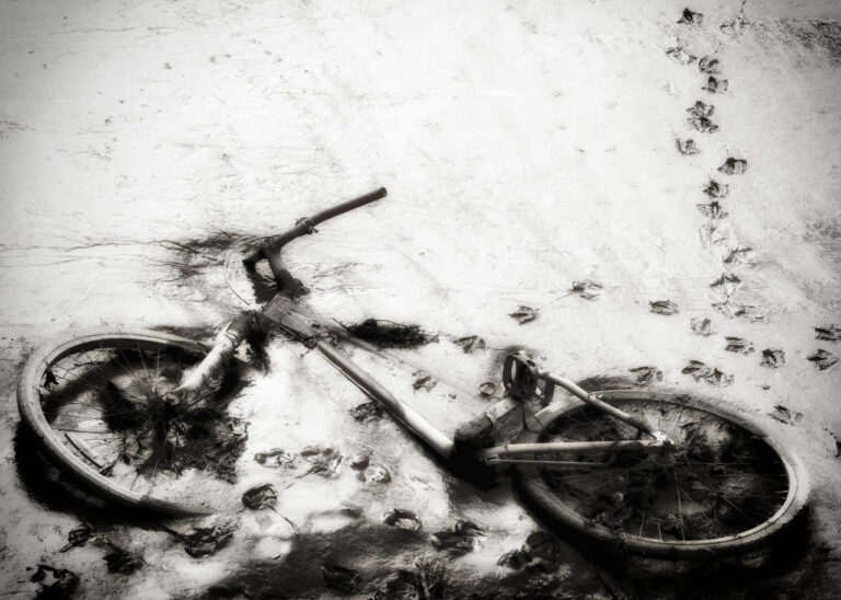 Artwork by artist Brian Sanders, exhibited at Domio Gallery.