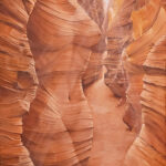 Artwork by artist Estella Veldmeijer, exhibited at Domio Gallery.