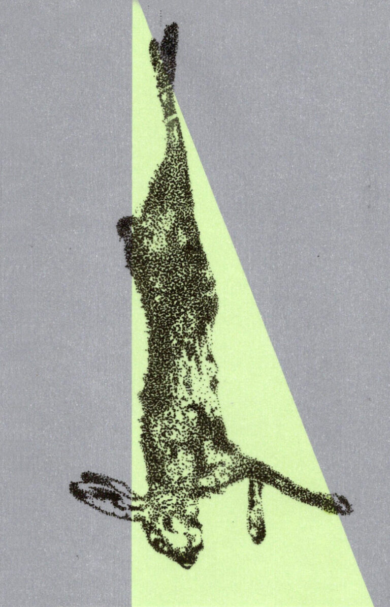 The Hare. 2025. by Steven Myers, exhibited at Domio Gallery.