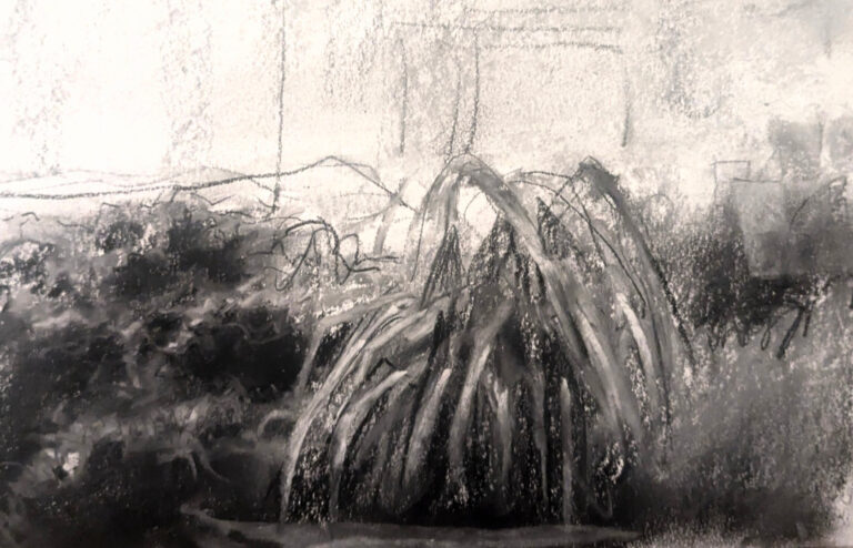 Filtered Memories: St Ives Garden, 2025. by Ingrid Brown, exhibited at Domio Gallery.