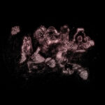 Prague, 2025. by Dragana Zarevska, exhibited at Domio Gallery.