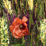 Auvers sur Oise: Lonely Poppy in the Cornfield, 2025. by Philip van den Dool, exhibited at Domio Gallery.