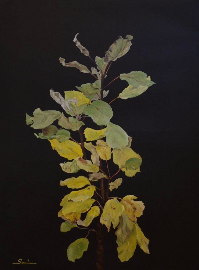 Portrait of a Young Apple Tree, 2025. by Sonia C. Zaez, exhibited at Domio Gallery.