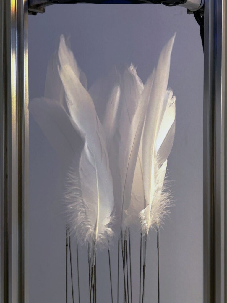 Echoes Toward Tomorrow, 2025. by Jian Zhou, exhibited at Domio Gallery.