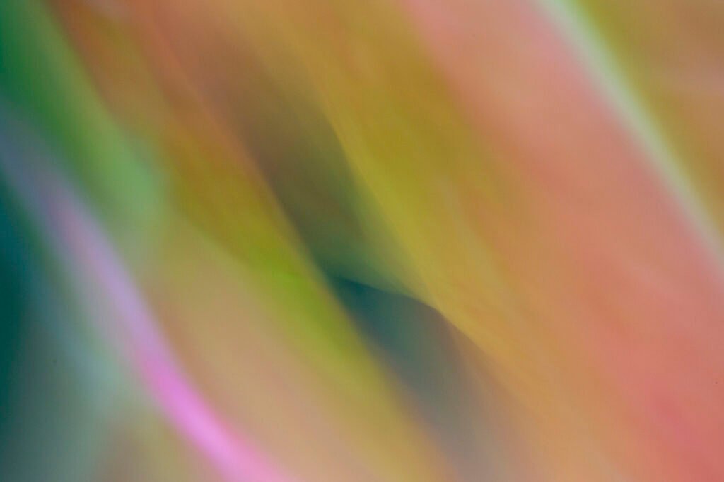 Movin In Color-7, 2024. by Kore Heerema, exhibited at Domio Gallery.