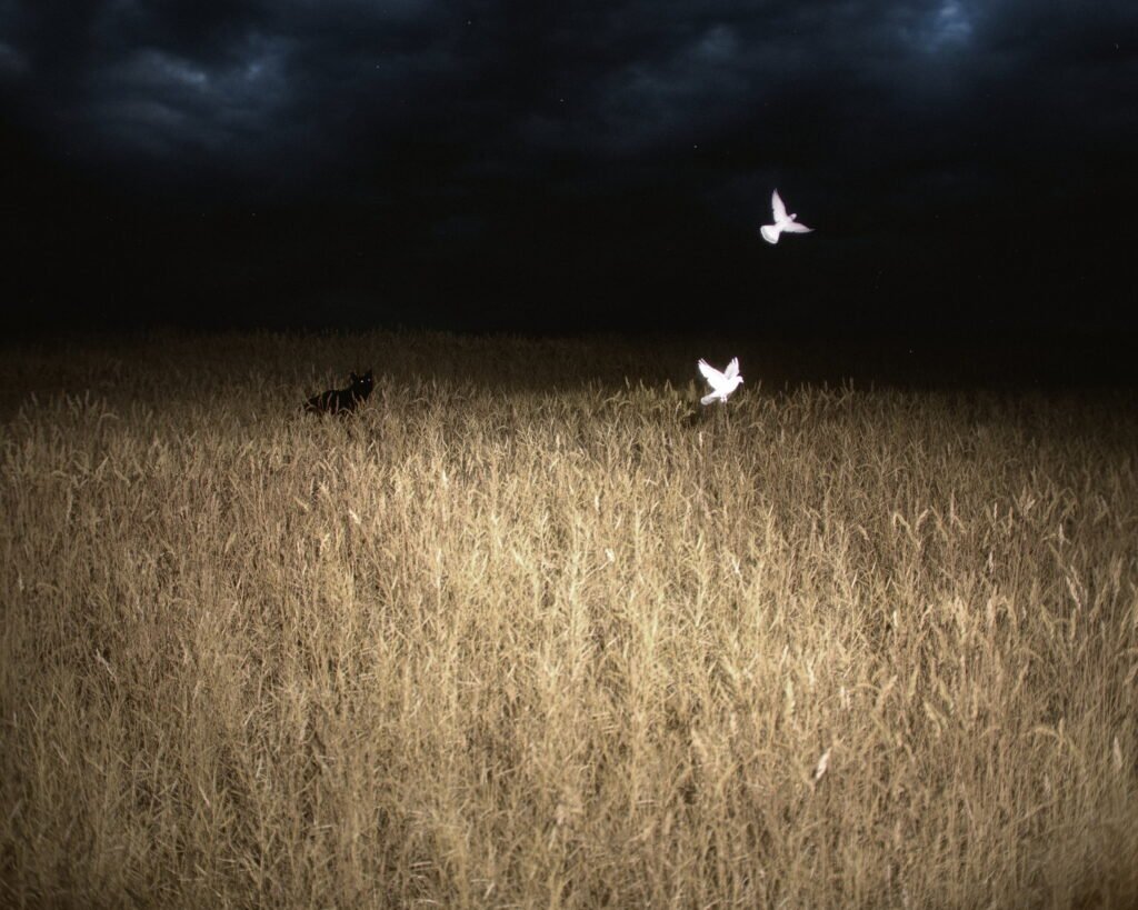 When Night Comes Along, 2026, 3D Render on Giclee, 16x20in, $375. by David Zerba, exhibited at Domio Gallery.