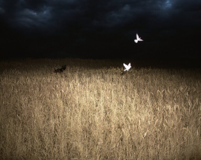 When Night Comes Along, 2026, 3D Render on Giclee, 16x20in, $375. by David Zerba, exhibited at Domio Gallery.