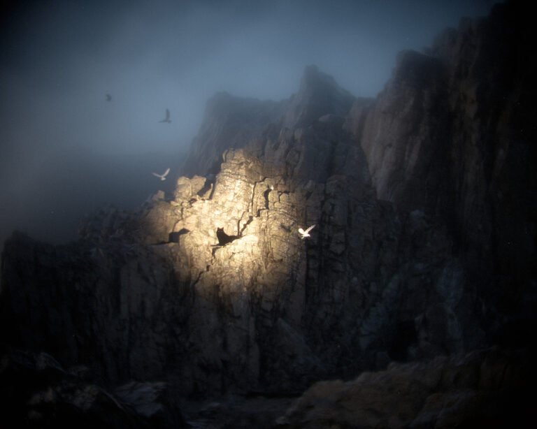 You Cannot Hide, 2026, 3D Render on Giclee, 16x20in, $350. by David Zerba, exhibited at Domio Gallery.