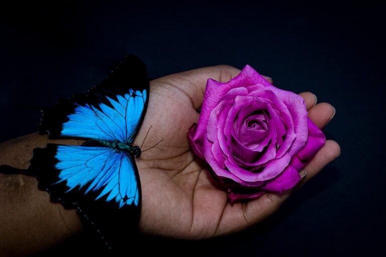 Together,2026,Photography,29. by Déy Roper, exhibited at Domio Gallery.