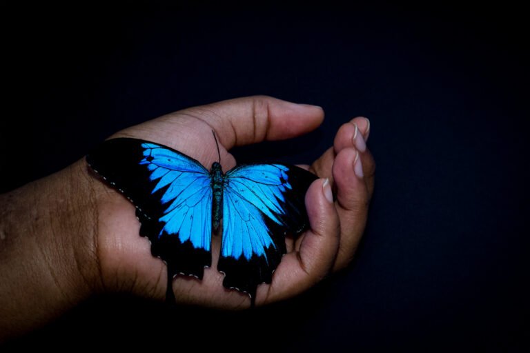 In Hand,2026,Photography,29. by Déy Roper, exhibited at Domio Gallery.