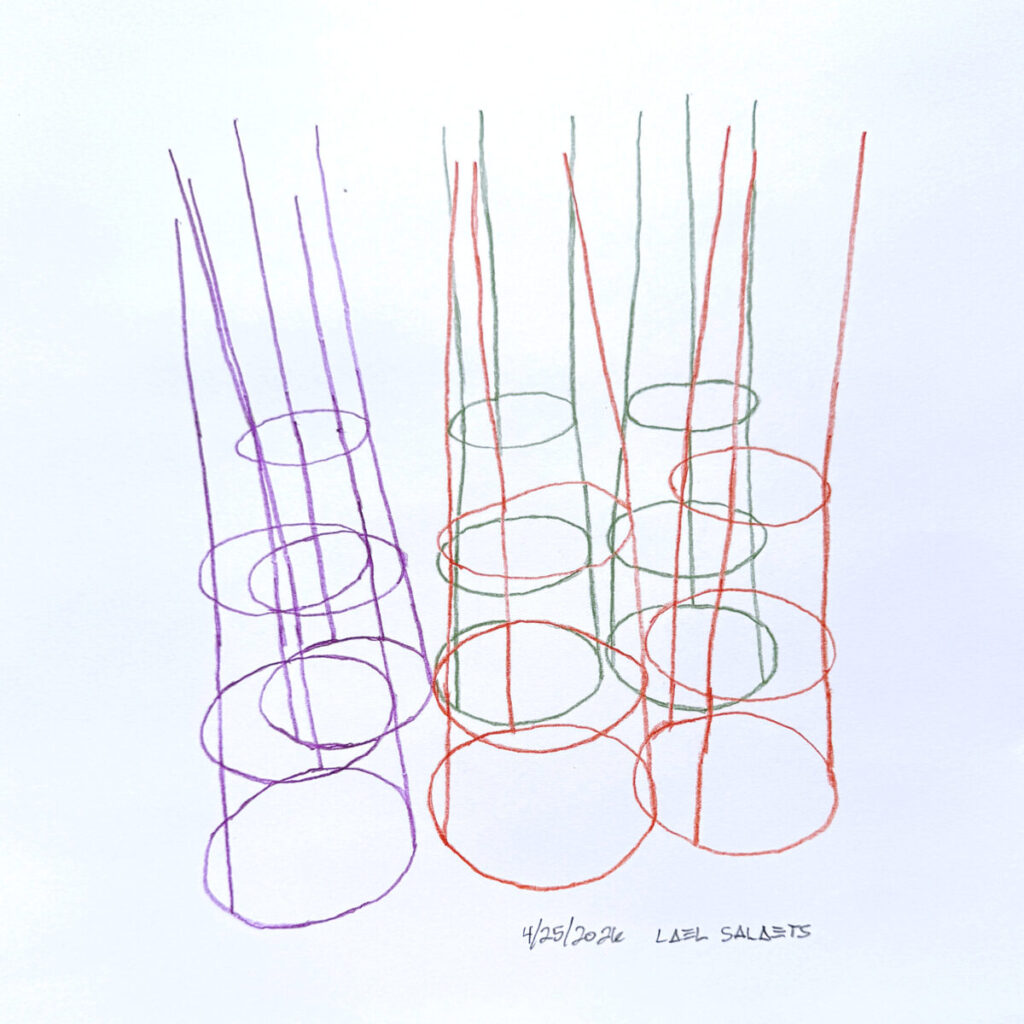 Tomato Cages, 2026. by Lael Salaets, exhibited at Domio Gallery.