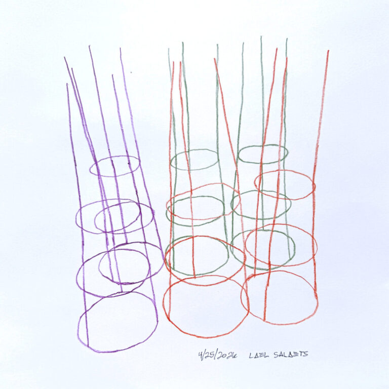 Tomato Cages, 2026. by Lael Salaets, exhibited at Domio Gallery.