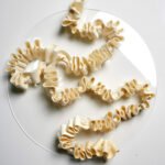medulla ossium, 2026. by Amy Green, exhibited at Domio Gallery.