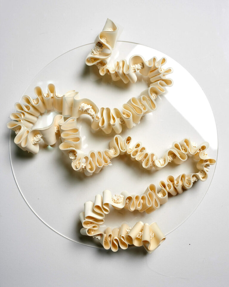 medulla ossium, 2026. by Amy Green, exhibited at Domio Gallery.