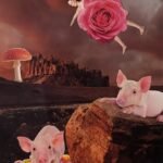 Dream Sequence in Pink, 2025. by Emily Zweibel, exhibited at Domio Gallery.