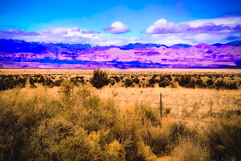 New Mexico, 2022. by Kylo-Patrick Hart, exhibited at Domio Gallery.