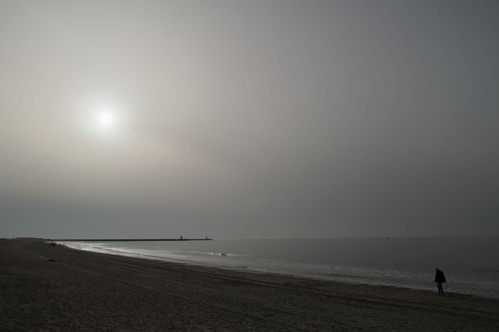Lonely walk towards the sun, 2026, Digital Photo with frame, 105 * 70 cm, 1000 EUR by Michael Stierle, exhibited at Domio Gallery.