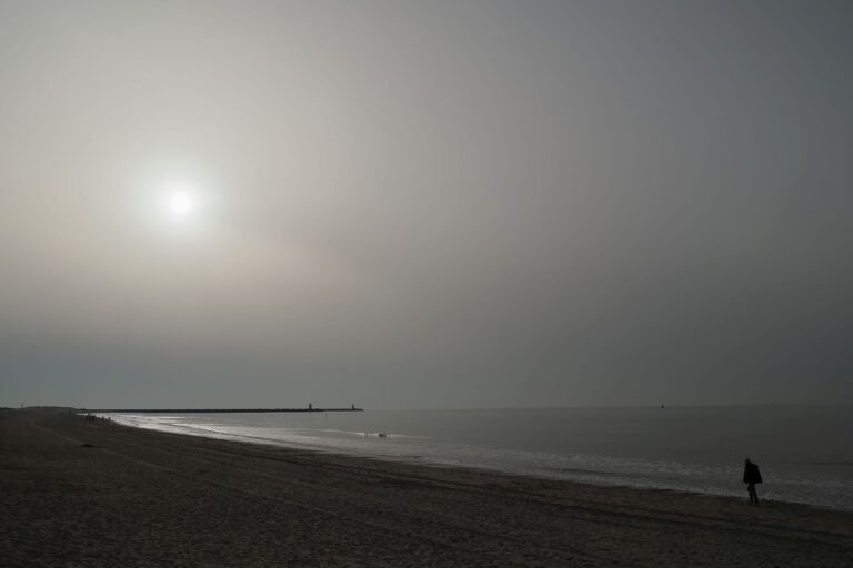 Lonely walk towards the sun, 2026, Digital Photo with frame, 105 * 70 cm, 1000 EUR by Michael Stierle, exhibited at Domio Gallery.