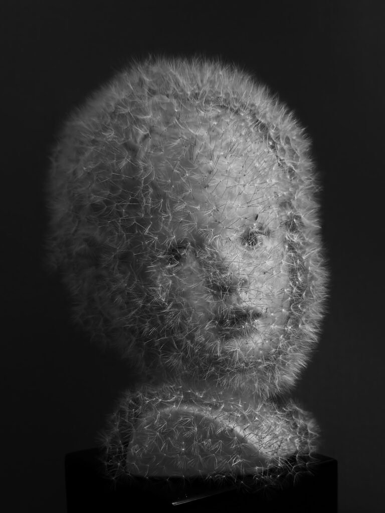 Title: Amor Artist: Tatiana Mesa Paján Date: 2025 Medium: Found object, dandelion -part of the collection of the John & Mable Ringling Museum of Art. by Tatiana Mesa Pajan, exhibited at Domio Gallery.