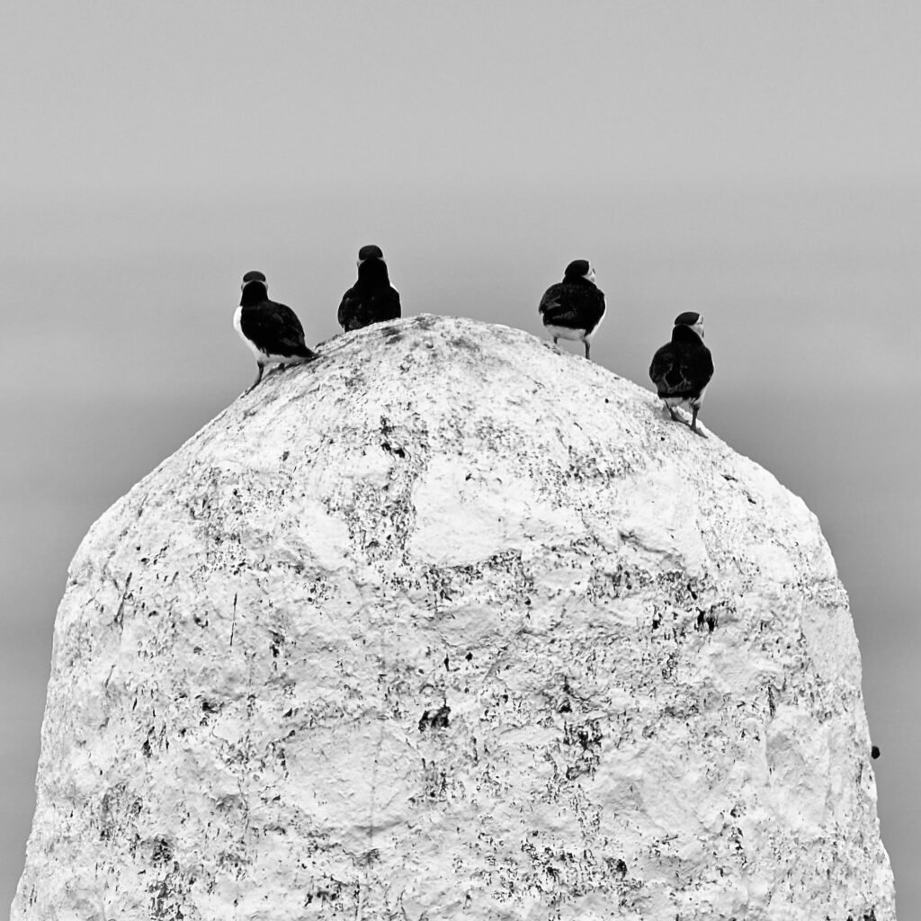 The lookouts, 2026. by Ian Storrar, exhibited at Domio Gallery.