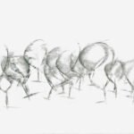 Tanzende Obstbäume (Dancing Fruit Trees). by Sybs Bauer, exhibited at Domio Gallery.