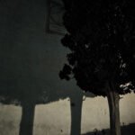 The Trees Remember What Time Forgets, 2018. by Ava Shades, exhibited at Domio Gallery.