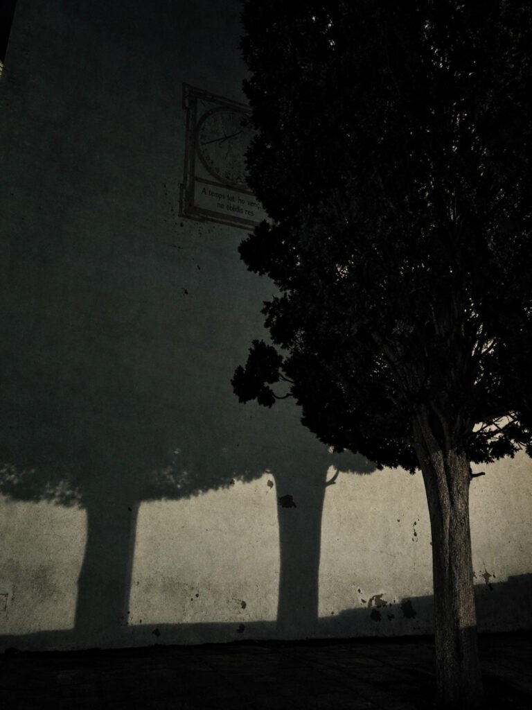 The Trees Remember What Time Forgets, 2018. by Ava Shades, exhibited at Domio Gallery.